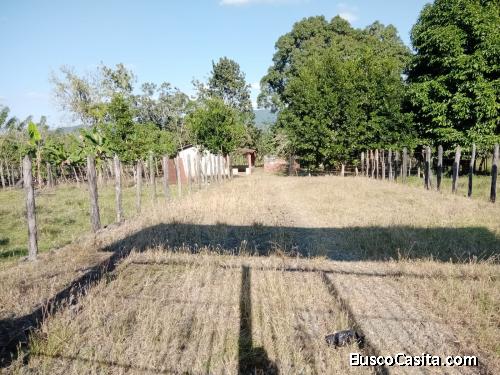 FINCA DE 30 TAREAS DE VENTA EN BONAO