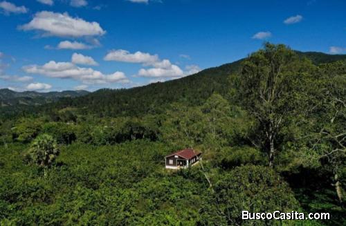 FINCA DE 118 TAREAS DE VENTA EN JARABACOA