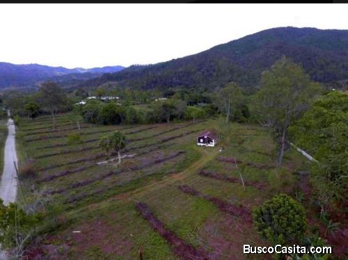 FINCA DE 118 TAREAS DE VENTA EN JARABACOA