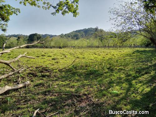 FINCA DE 53 TAREAS DE VENTA EN BONAO