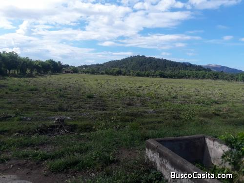 FINCA DE 58 TAREAS DE VENTA EN BONAO
