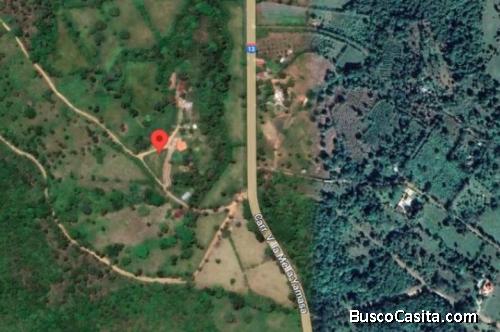 Vendo FINCA de 1,982 Tareas SUPER REBAJADA, CON MINA DE TOSCA, CASA, SIEMBRA DE PINAS Y OTROS RUBROS