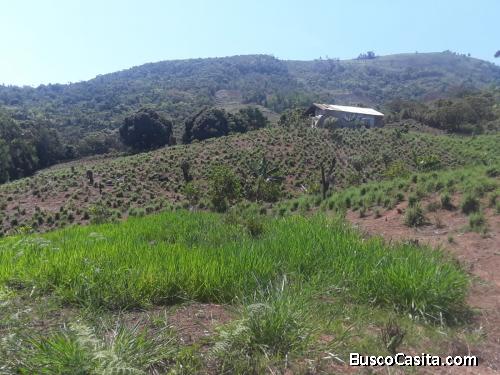 FINCA DE 150TAREAS DE VENTA EN BONAO