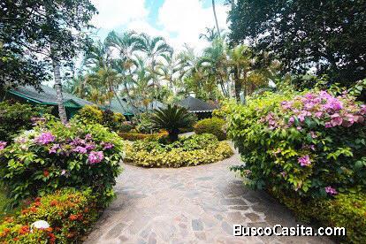 Villa Paradisiaca En Las Terrenas De Alquiler!!!