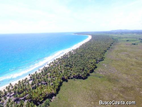 Amplios terrenos lineales a la playa en punta cana, bavaro, miches, terrenas, en venta!! 