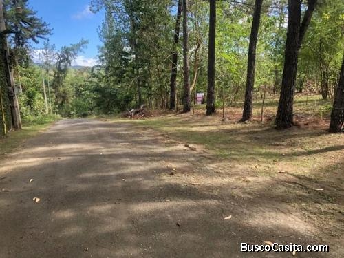 VENDO Finca de 41,393 mts.2,  SUPER REBAJADO, PEDRO BRAND, PROX. VACACIONAL LA ISABELA