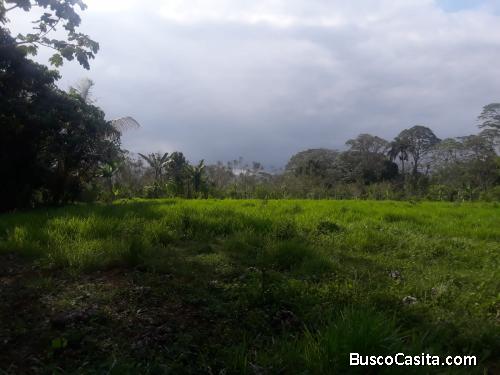 FINCA DE 46 TAREAS DE VENTA EN BONAO