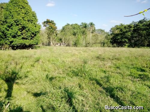 FINCA DE 30 TAREAS DE VENTA EN BONAO