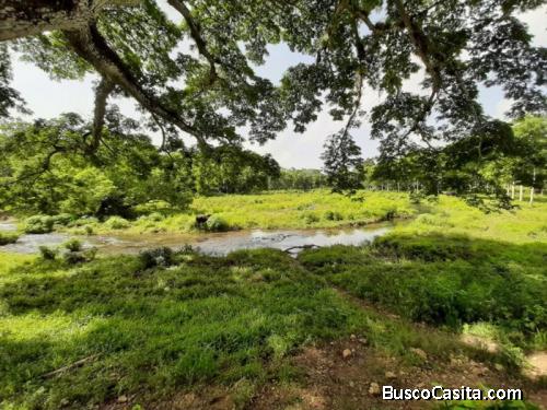 Finca De Venta En Los Palmaritos, Rio San Juan.
