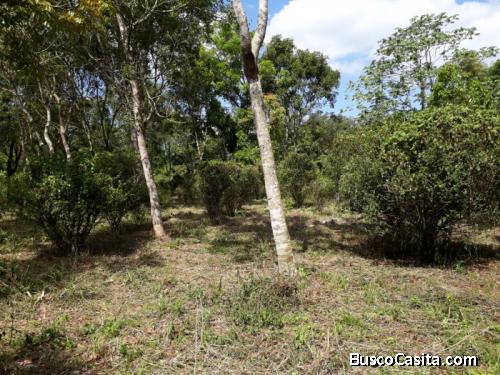 Finca En Venta En Villa Altagracia, San Cristóbal.