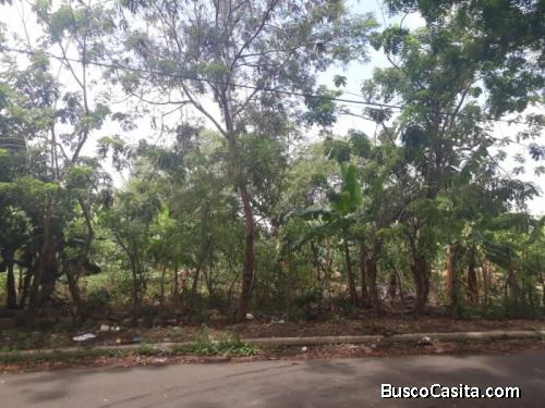 Citymax Vende Terrenos En Prolongación Padre Las Casas