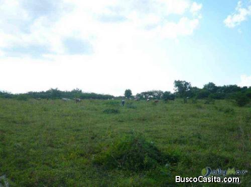 Terreno Residencial En Venta En Santiago Rep. Dom.