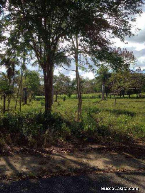 Terreno De 2,518.36 Mts En Venta En Cap Cana