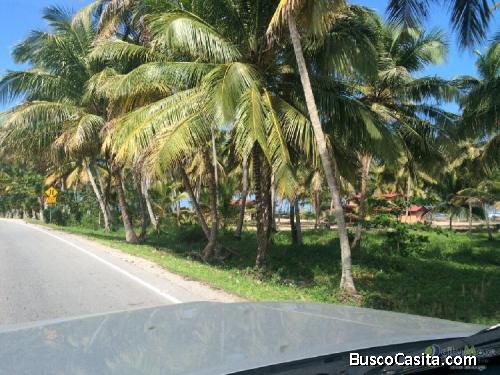Amplio Terreno En Venta En Nagua-Frente Al Mar