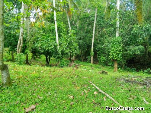 Solar En Venta En Hato Dama San Cristobal 20,668 Metros