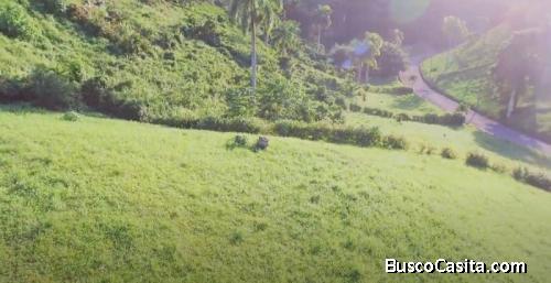 Terreno En Venta En Las Terrenas 