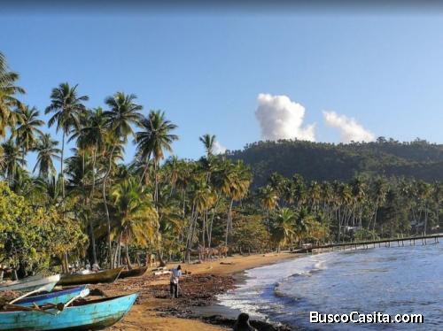 Venta De Terreno En Primera Linea De Playa En Samana 