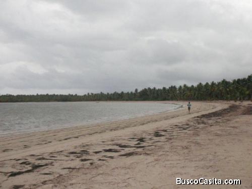 Vendo Terreno Residencial En Las Terrenas Samana 