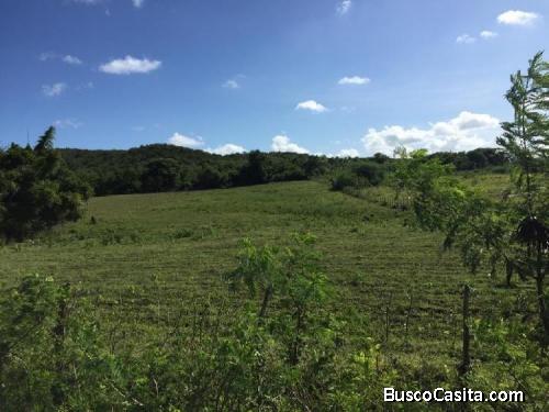 Finca En Venta En Bani Para Producción Agrícola