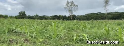 Vendo Terreno En Monte Plata; Idi: 128173