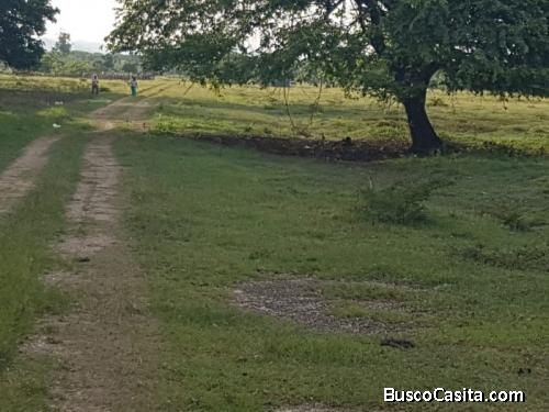 Vendo Terreno En Punta Cana Uvero Alto; Idi: 120639