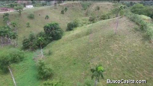 Vendo Terreno En Gaspar Hernandez De 55000 M2; Idi: 90756