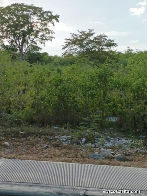 Citymax Platinum Vende Terreno En Dominicus Bayahibe; Idi: 87237