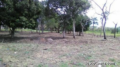 Citymax Platinum Vende Terreno Vacacional En Juan Dolio; Idi: 84049