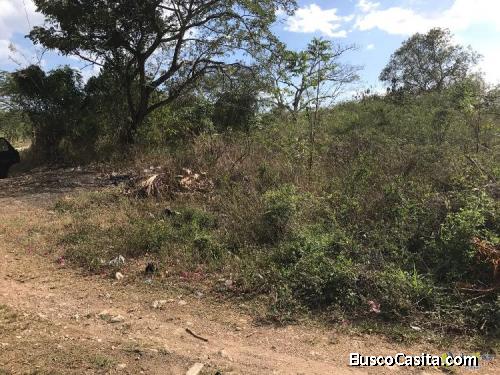 Terreno En Juan Dolio Para La Venta; Idi: 81807