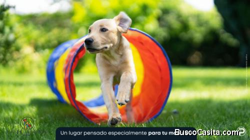 Proyecto Familiar Ubicado En La Julia