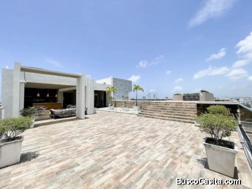 Apartamento En Venta Ultimo Piso En Piantini 