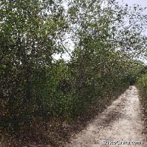 Terreno En Venta En Juan Dolio
