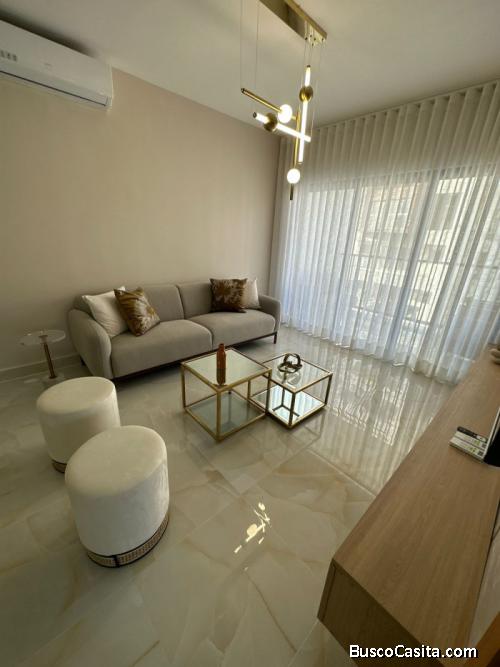 Apartamento Alquiler Amueblado Naco Santo Domingo; Idi: 135416