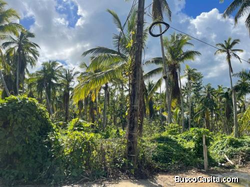 Terreno En Venta En  Playa Bonita En Samana; Idi: 135101