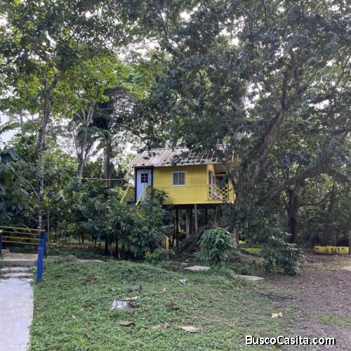 Vendo Finca En Miches; Idi: 126426