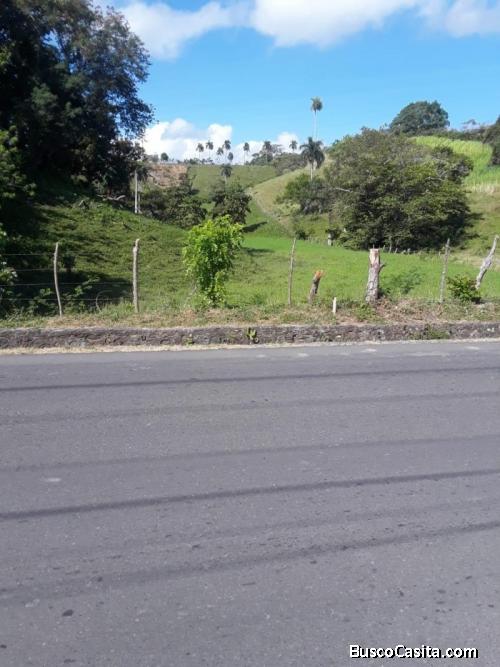 Se Vende Terreno  En Gaspar Hernández, Rep. Dominicana.; Idi: 115616