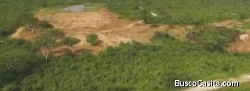 Se Vende Solar En Juan Dolio, Guayacanes; Idi: 108789