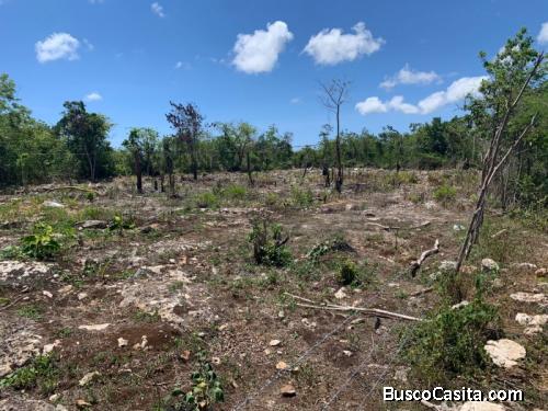Terreno En Venta  Punta Cana Cerca De Ciudad La Palma; Idi: 104870