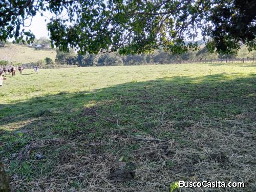 FINCA DE 53 TAREAS DE VENTA EN BONAO