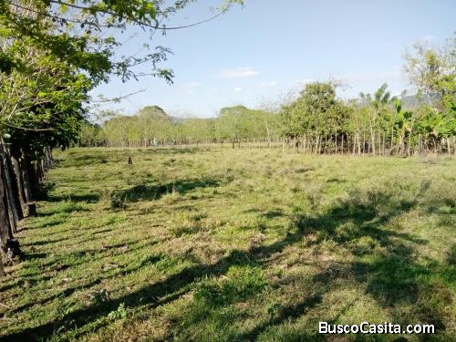 FINCA DE 30 TAREAS DE VENTA EN BONAO