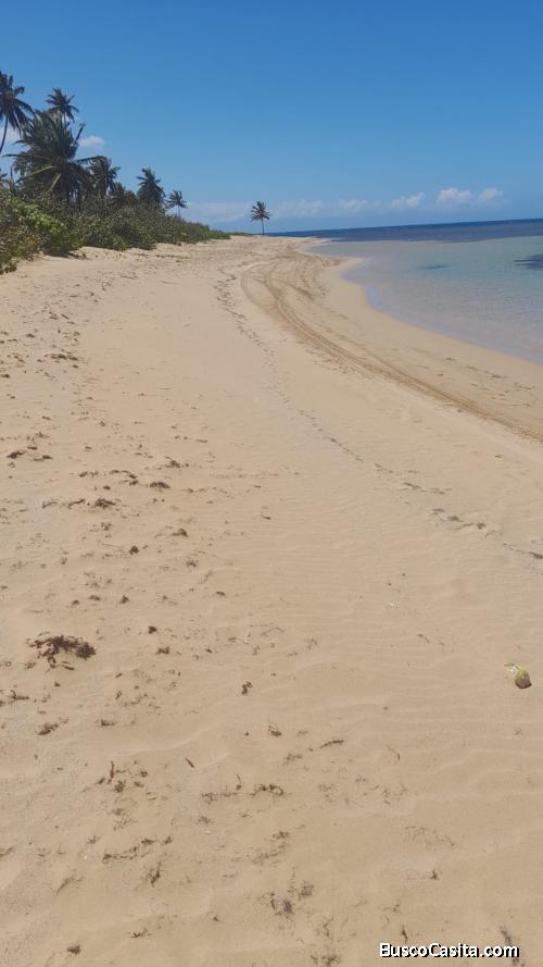 TERRENO DE 8,000 MTR CON PLAYA DE VENTA EN LAS TERRENAS