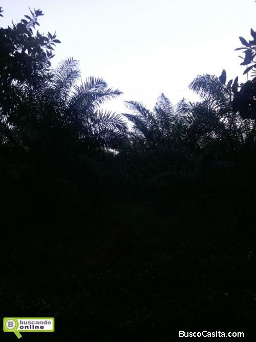 Fincas En Venta, Monte Plata!!