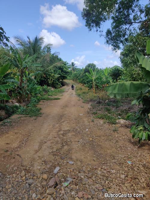 FINCA DE 90 TAREAS DE VENTA EN BONAO