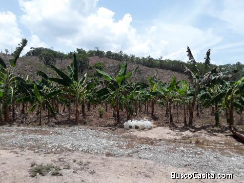 FINCA DE 201 TAREAS DE VENTA EN BONAO
