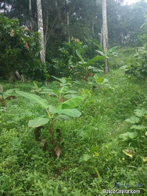 Terreno Yo Finca En Venta En Sabana Perdida; Idi: 110579