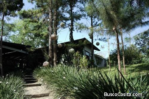 Casa Campestre En Venta En Pedro Brand; Idi: 84325