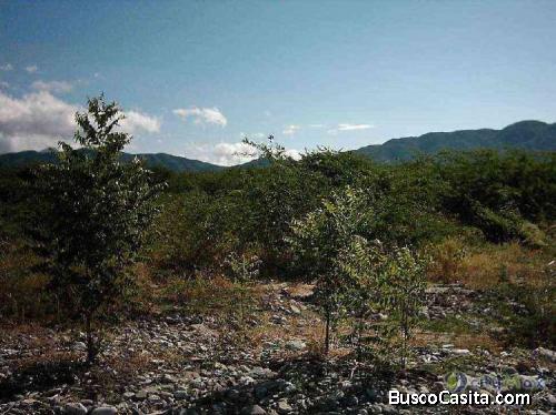 Terreno En Venta En La Bahía De Ocoa; Idi: 30711