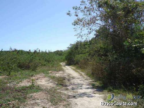 Terreno Comercial En Venta En Autopista Duarte; Idi: 43921