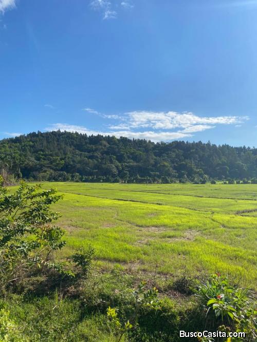 FINCA DE 65 TAREAS DE VENTA EN BONAO