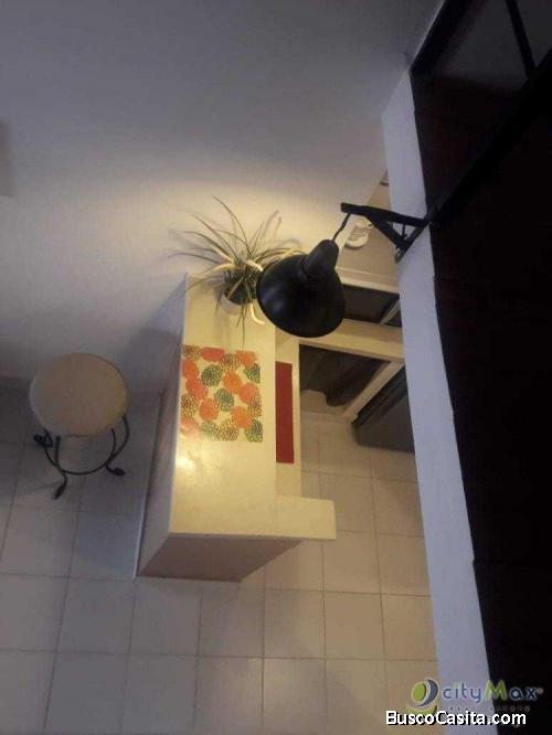 Aparta Estudio Amueblado en alquiler En Piantini